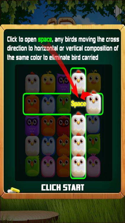 Bird Puzzles