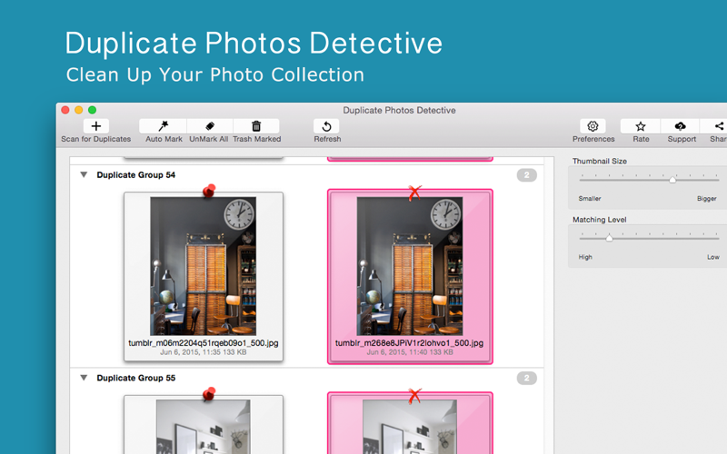 Duplicate Photos Detective thumbnail 2