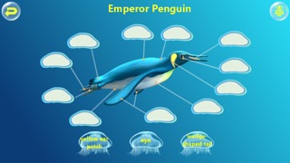 Amazing Ocean Animals- Educational Learning Apps for Kids Freeのおすすめ画像2