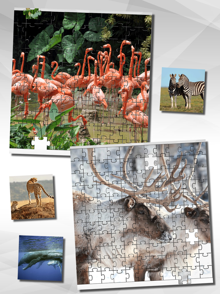 Animal Puzzle Game HD