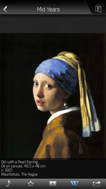Vermeer HD screenshot-3