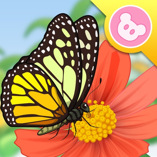 Butterfly - InsectWorld A story book about insects for children