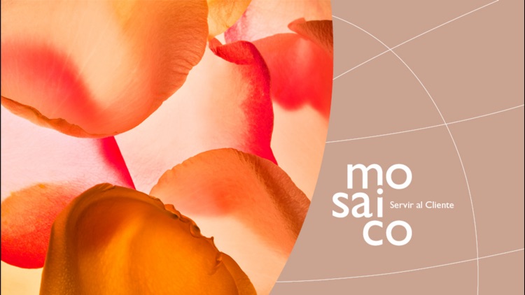 Mosaico screenshot-3