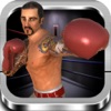 ボクシング3Dファイトゲーム - iPadアプリ