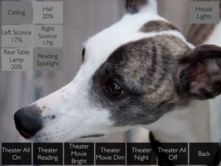 Iggy Remote screenshot-3