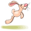 Romario - The Rabbit