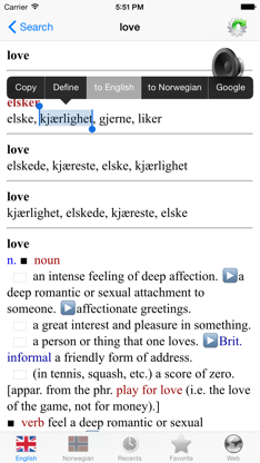 Norwegian English best dictionary screenshot 3