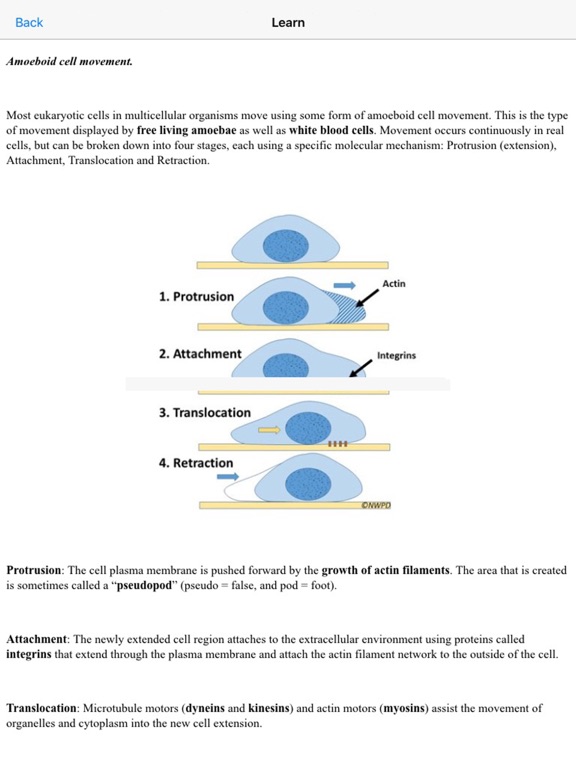 Screenshot #4 pour Cell Biology 101