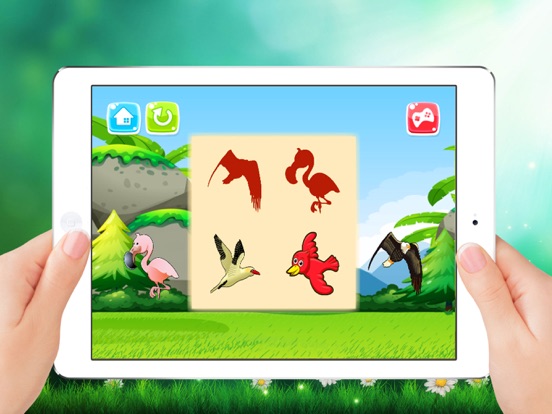 Screenshot #5 pour Oiseaux Traîne Goutte et Match Ombre pour enfants
