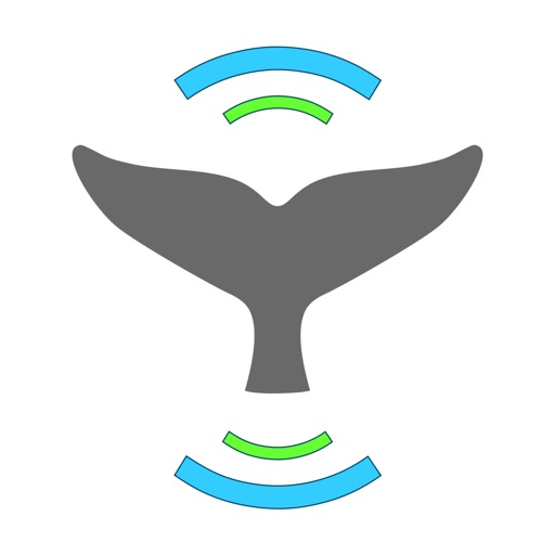 Whale Alert - Reducing Ship Strikes - Worldwide