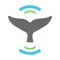 Whale Alert helps reduce the chance of fatal ship strikes by large vessels by displaying active whale management areas, required reporting areas, recommended routes, areas-to-be-avoided and near real-time warnings in shipping lanes along both coasts of the United States and Canada