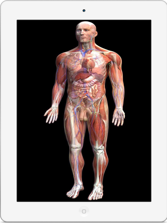 全套人体解剖のおすすめ画像1