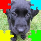 Top 48 Games Apps Like Puppies (Baby Dogs) Jigsaw Puzzles - Best Alternatives