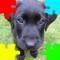 Puppies (Baby Dogs) Jigsaw Puzzles is a jigsaw puzzle game about puppies (baby dogs)