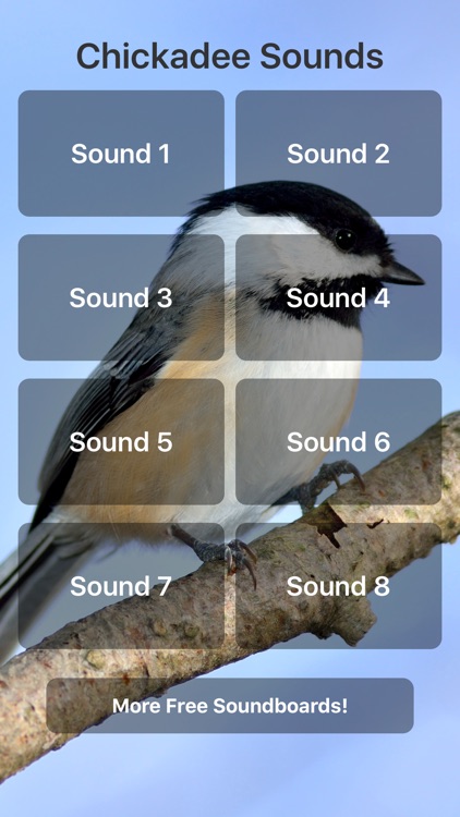 Chickadee Sounds