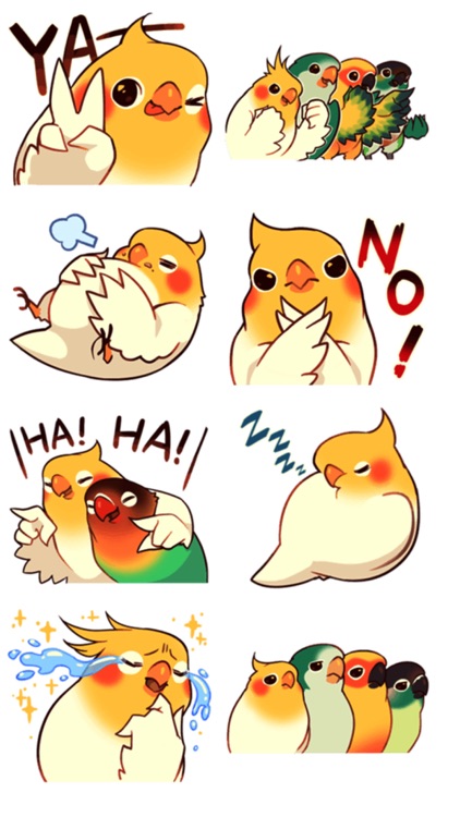 Best Lovely Bird Stickers