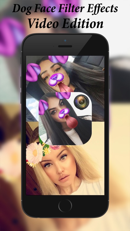 Dog Face Filter Effects Video