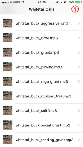 Game screenshot Whitetail Hunting Calls - Real Deer Sounds mod apk