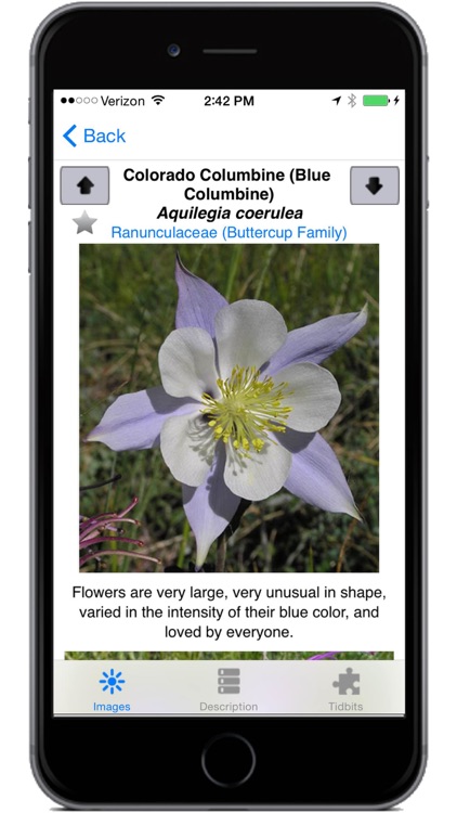 Colorado Rocky Mountain Wildflowers screenshot-3