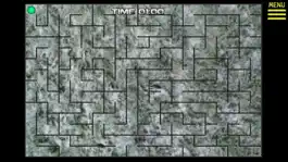 Game screenshot Labyrinth Hard apk