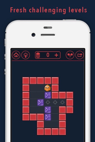 Box N Birdy 2 puffin -super sharp little puzzle hd screenshot 2