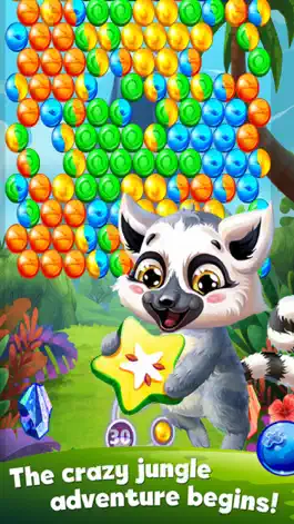 Game screenshot Jungle Squirrel Bubble 2017 hack