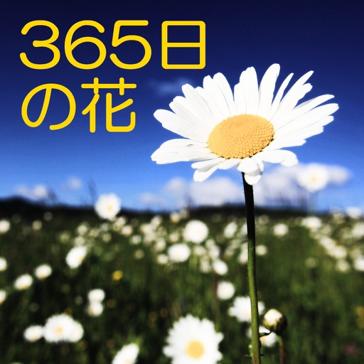 365日の花