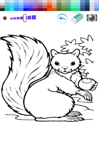 Coloring Page and Paint Squirrels screenshot 2