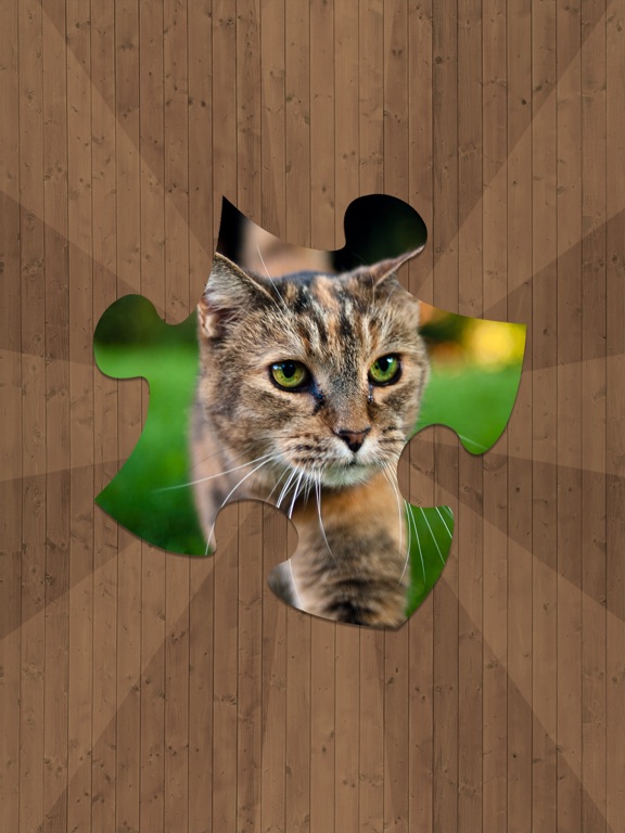 Screenshot #4 pour Jeux de Chat Puzzle