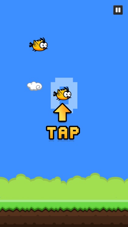 Bird Jump