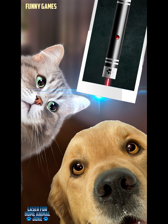 Laser for Home Animal Joke iPad screenshot