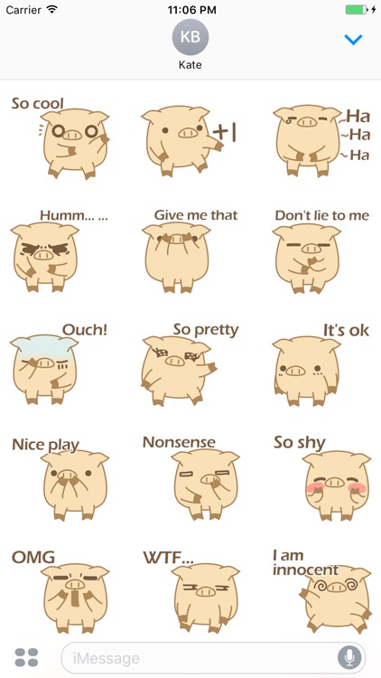 Finn The Funny Pig Brother Stickers