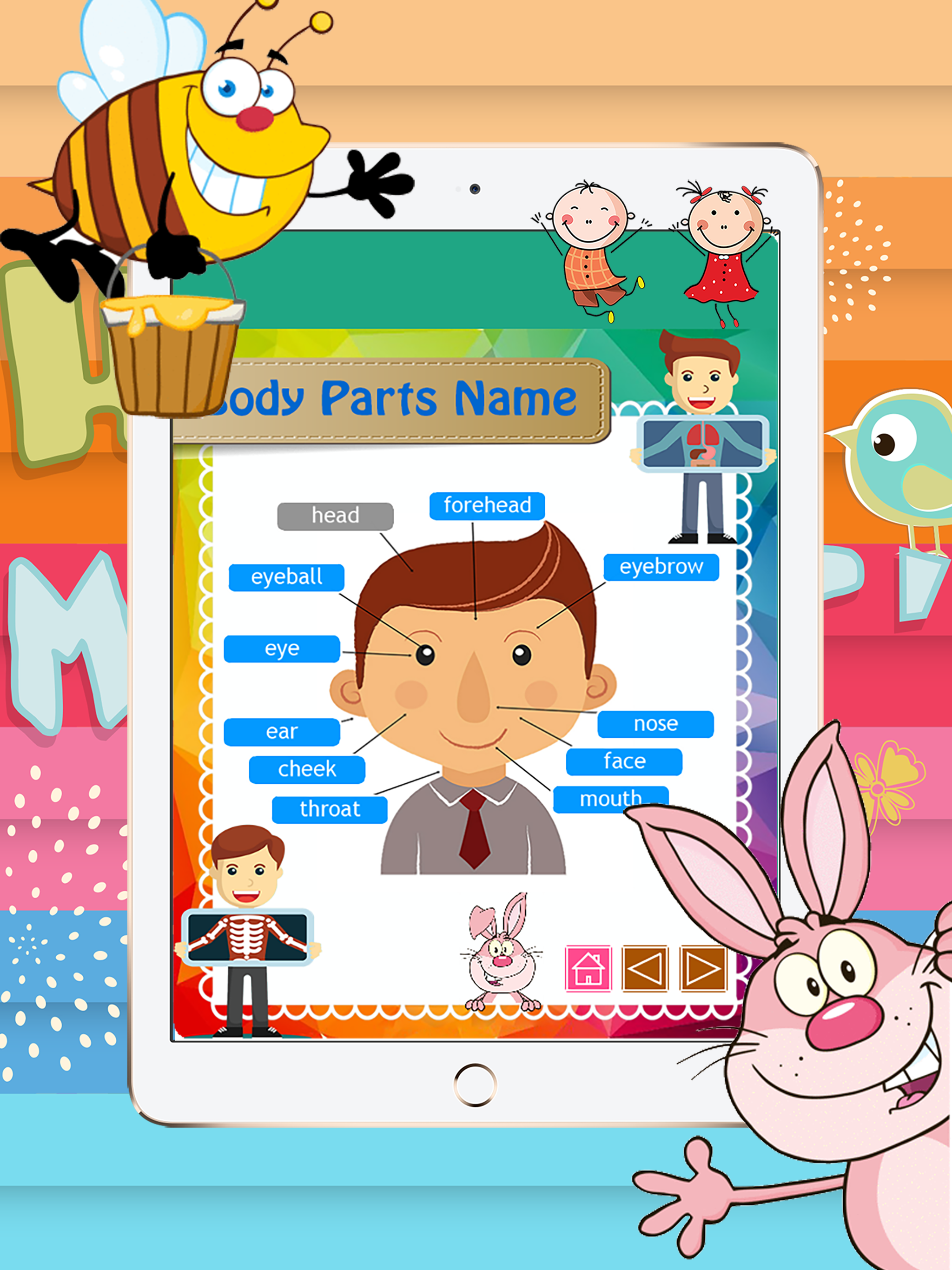 Reading Body Parts Name English Picture Vocabulary screenshot 6