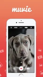 muvie – compose videos with ease! iphone screenshot 1