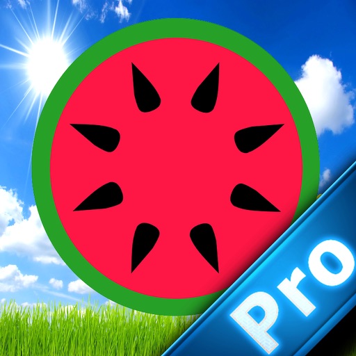 A Real Fast Delight Pro - A Fast Fruit icon