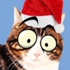 Googly Christmas