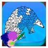 Coloring Book Anteater - Paint For Kids Preschool
