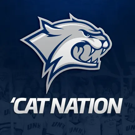 Wildcat Nation Читы
