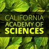 カリフォルニア科学アカデミー