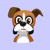 Boxer Animated Stickers for iMessage