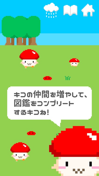 森のキコちゃん