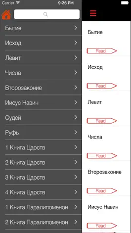 Game screenshot русский библии - Russian Bible hack