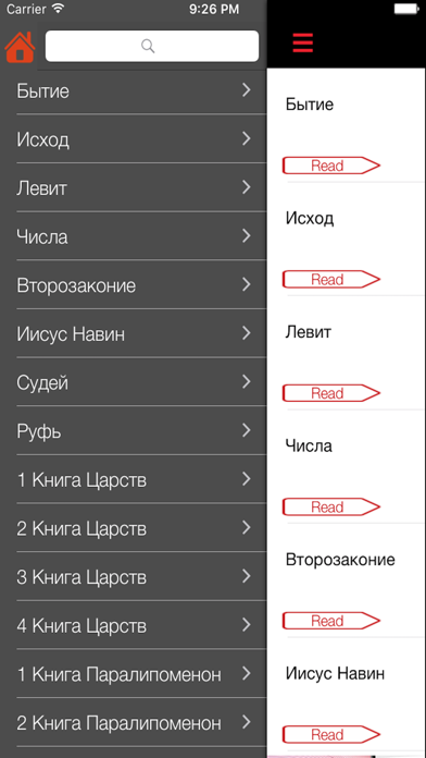 Screenshot #3 pour русский библии - Russian Bible
