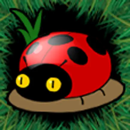 The BUGS WARS Cheats