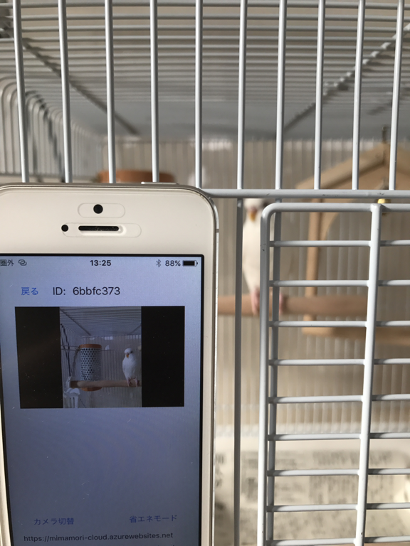 Screenshot #5 pour MimamoriKun