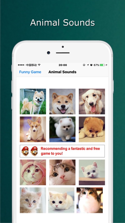 animal simulator game - dog and cat sounds