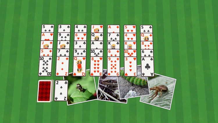 Golf Solitaire Critters