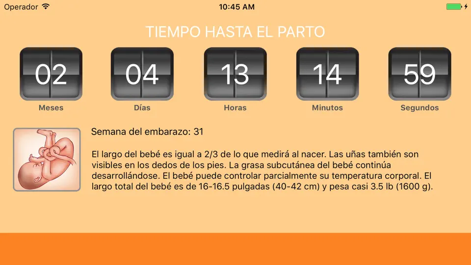 Captura de pantalla de WomanLog Pregnancy Calendar en iPhone 5