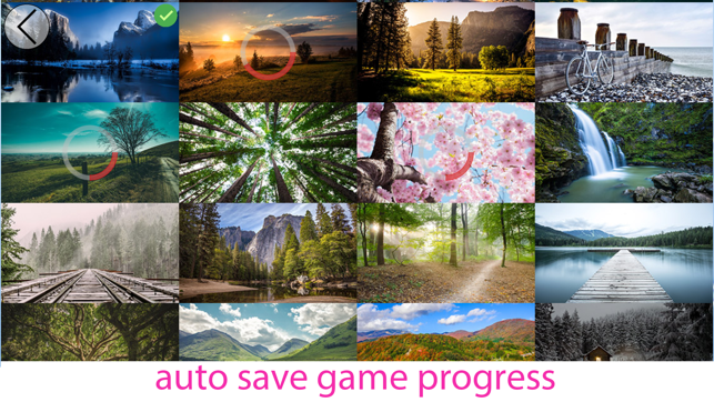 Jigsaw Puzzle fans Pro(圖3)-速報App