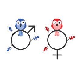 STABVIDA birds